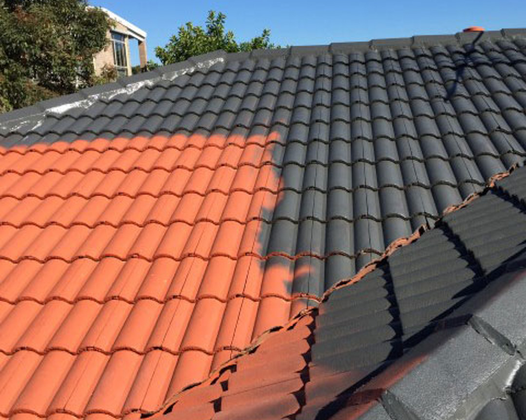 roof-painting